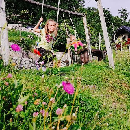 Vineyard Cottage Podrzaj Otočec Dış mekan fotoğraf