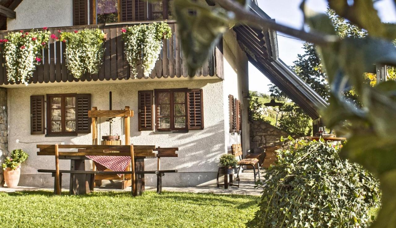 Vineyard Cottage Podrzaj Otočec Dış mekan fotoğraf