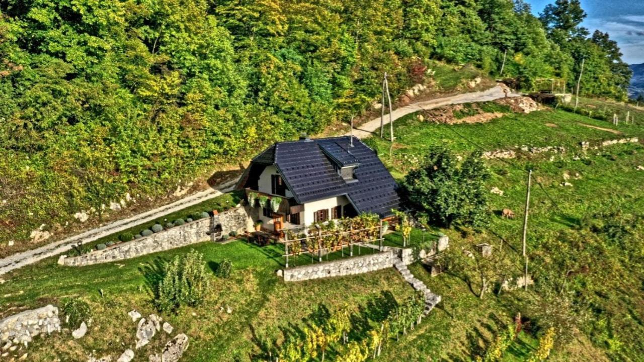 Vineyard Cottage Podrzaj Otočec Dış mekan fotoğraf
